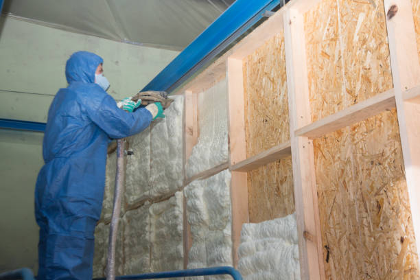 Best Insulation Repair Services  in Merrill, WI