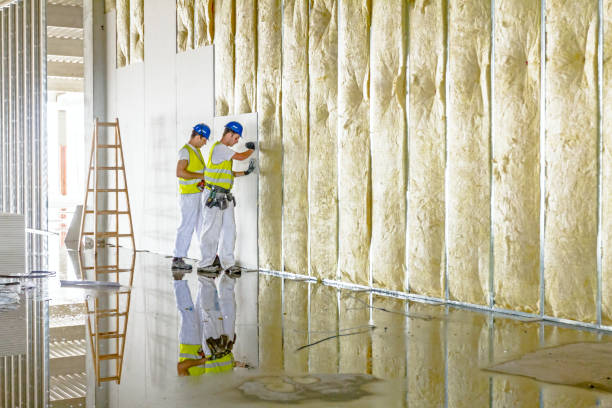 Best Crawl Space Insulation  in Merrill, WI